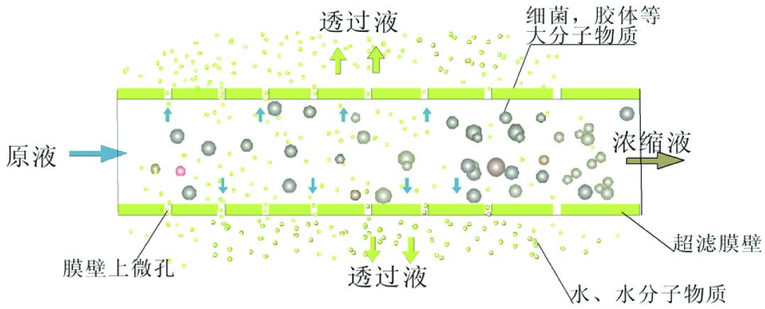 超滤膜结构图